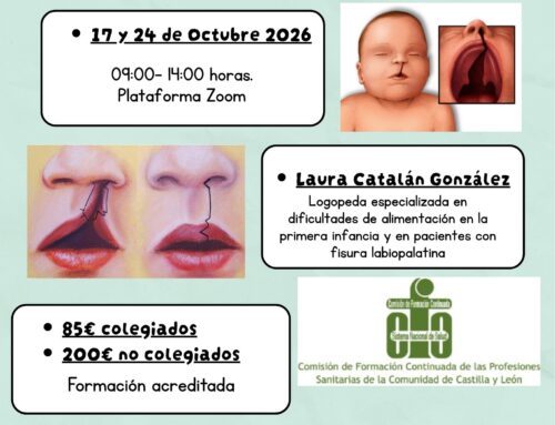 Curso «Desafíos de alimentación y habla en pacientes con fisura palatina»